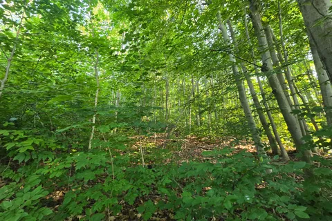 126 Old Highway 26 Highway, ON N4L 1W7