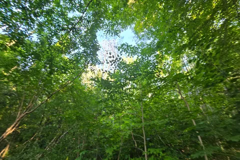 126 Old Highway 26 Highway, ON N4L 1W7