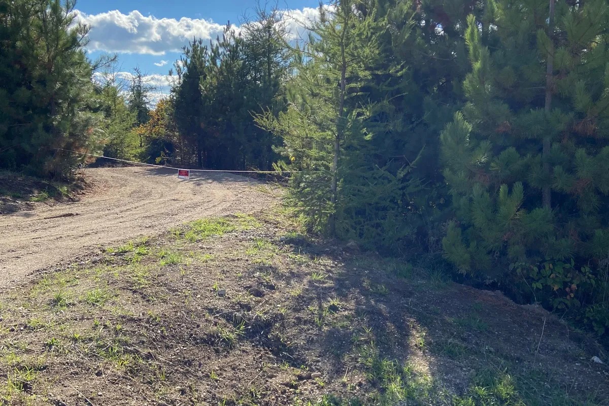 793560 124 grey highlands Road, ON N0C 1M0