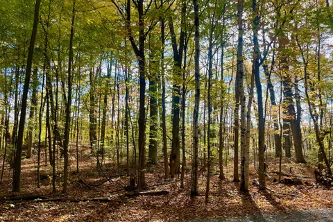 PT 38 Cedar Sands Road, ON K0E 1N0