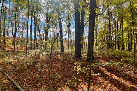 PT 38 Cedar Sands Road, ON K0E 1N0