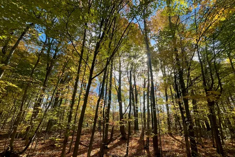 PT 38 Cedar Sands Road, ON K0E 1N0