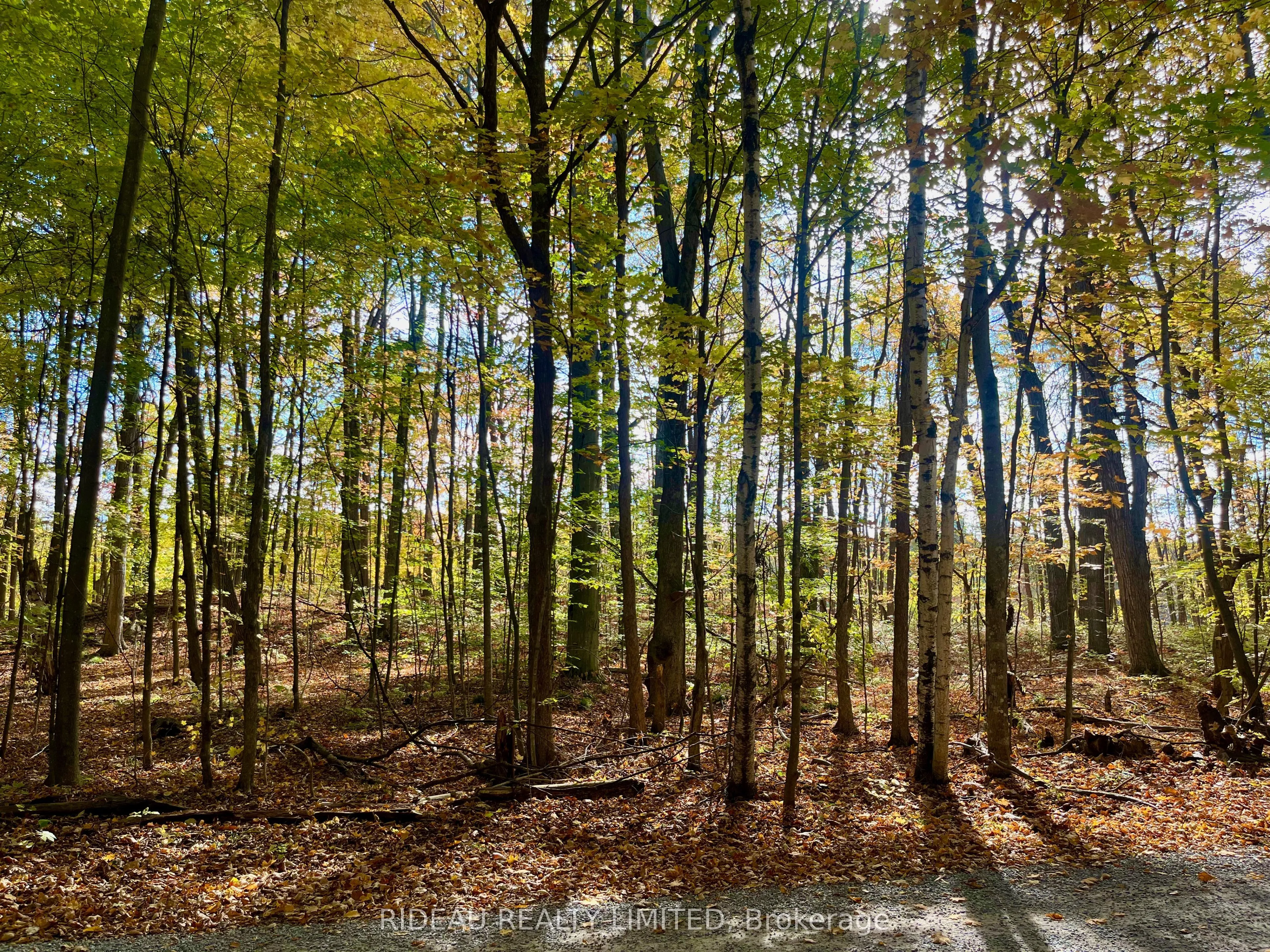 PT 38 Cedar Sands Road, ON K0E 1N0