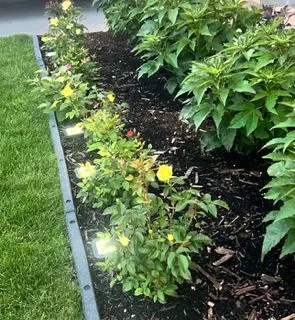 229 Purchase Crescent, ON K2S 2L7