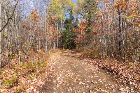 732 Old Barry's Bay Road, ON K0J 1B0