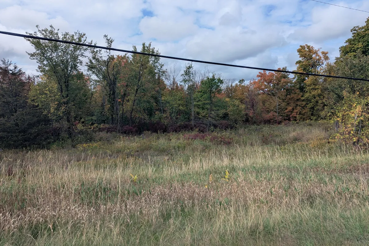 Lot 34 Leo Lake Road, ON K0H 2N0