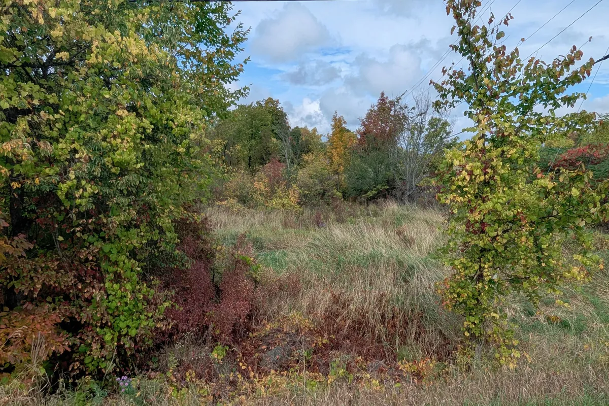 Lot 34 Leo Lake Road, ON K0H 2N0