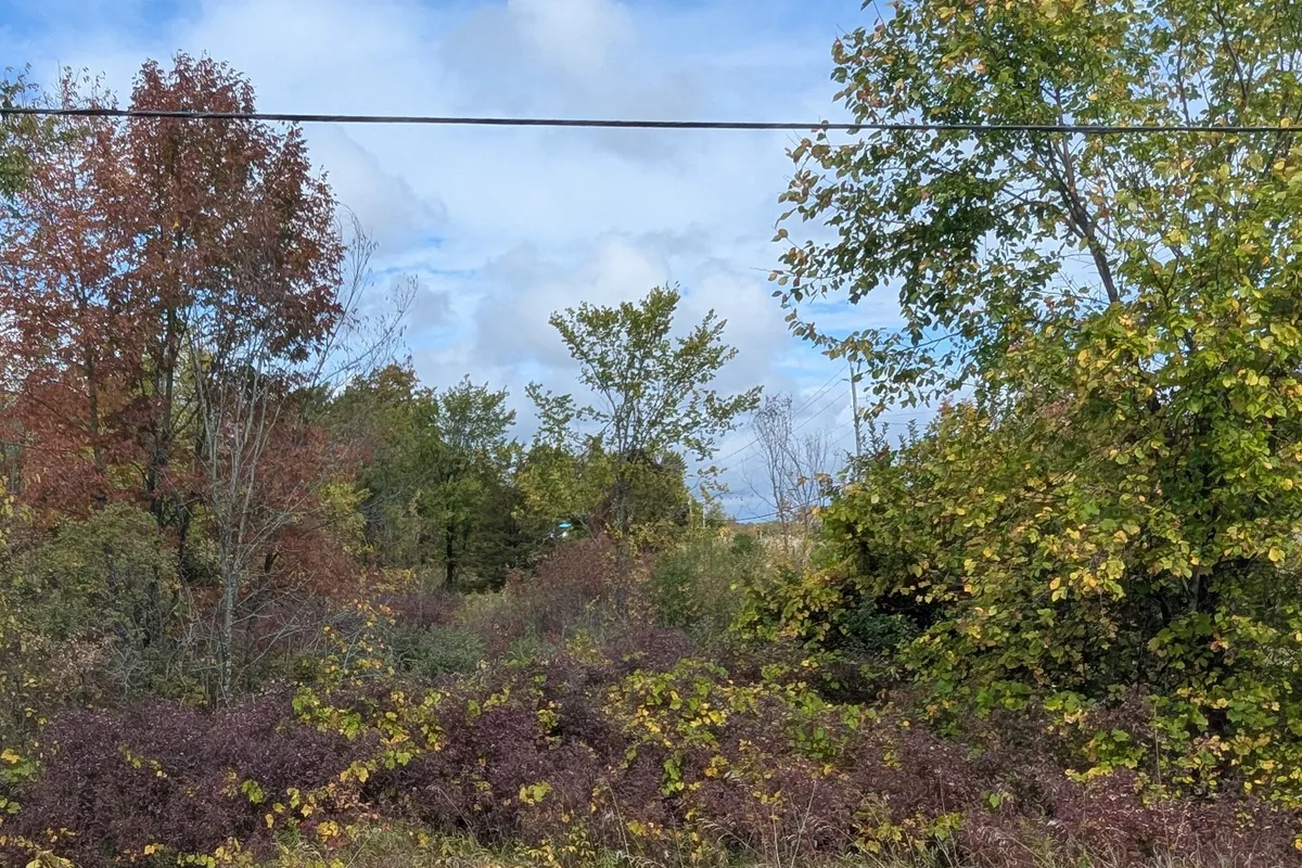 Lot 34 Leo Lake Road, ON K0H 2N0