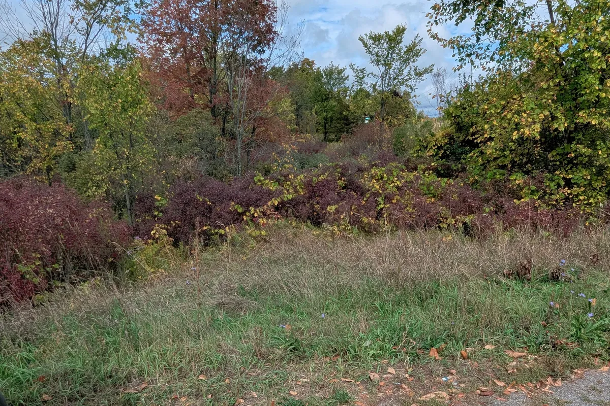 Lot 34 Leo Lake Road, ON K0H 2N0