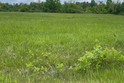 3447 Donnelly Drive, ON K0G 1J0