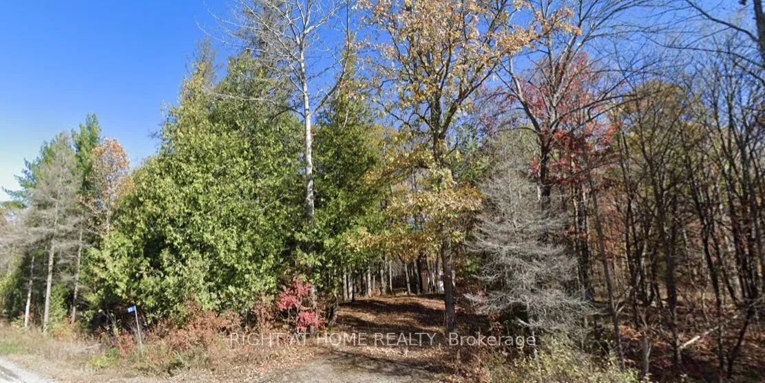 93 McCleary Road, ON K0K 2M0