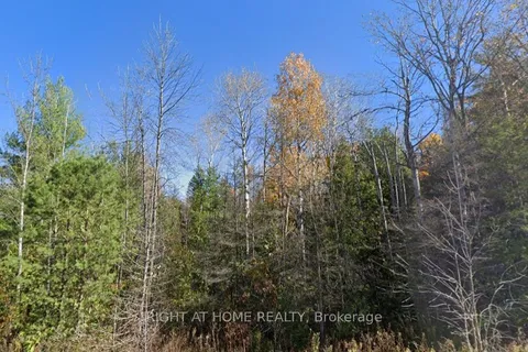 93 McCleary Road, ON K0K 2M0