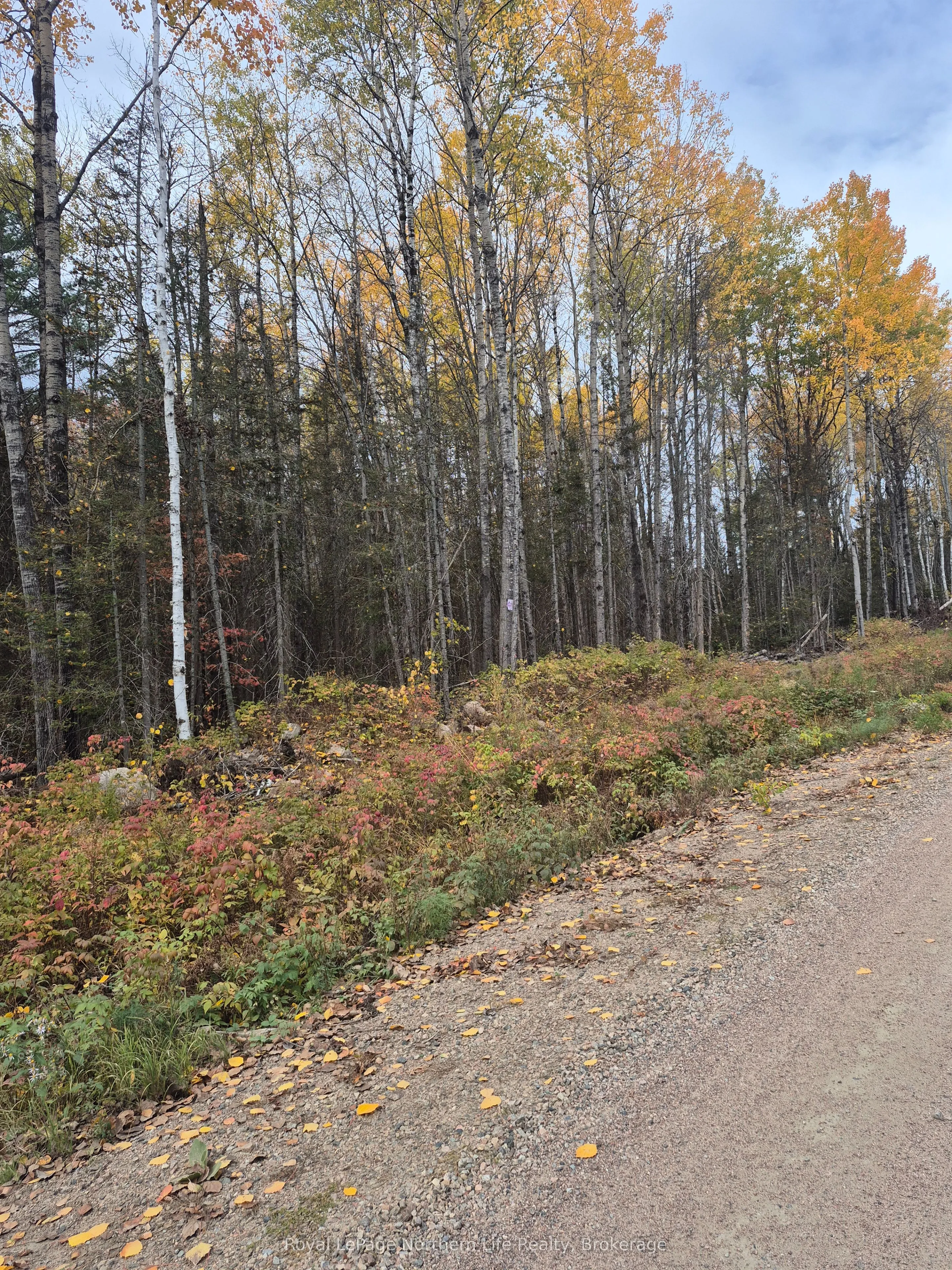 PT LOT 1 CON 9 ARCHAMBEAULT Road, ON P0H 1V0