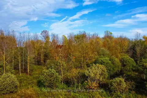 31313 Grey Road 14 Road, ON N0G 1N0