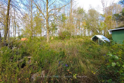 31313 Grey Road 14 Road, ON N0G 1N0