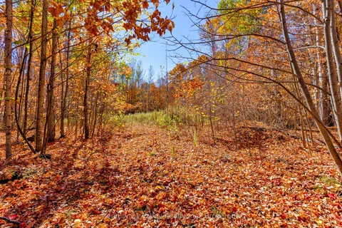 0 Gorman Road, ON K0J 2A0