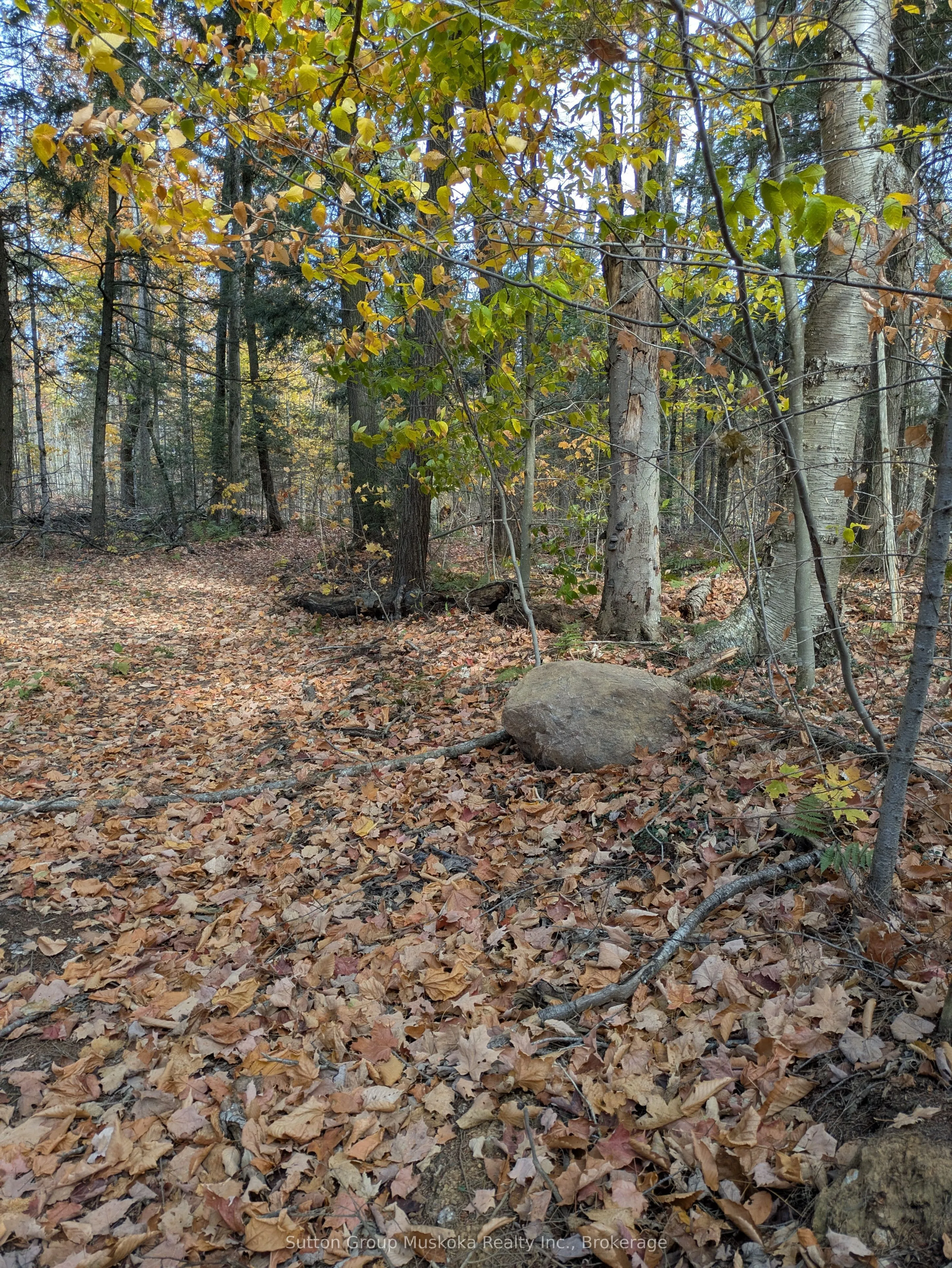 0 118 Highway, ON P1L 1X1