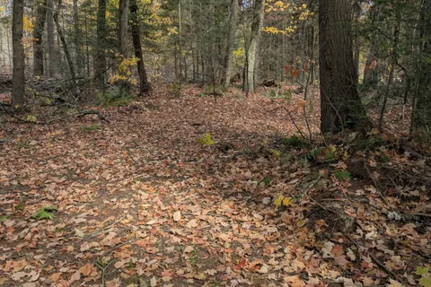 0 118 Highway, ON P1L 1X1