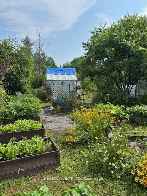 18610 Hwy 62 Highway, ON K0K 2K0