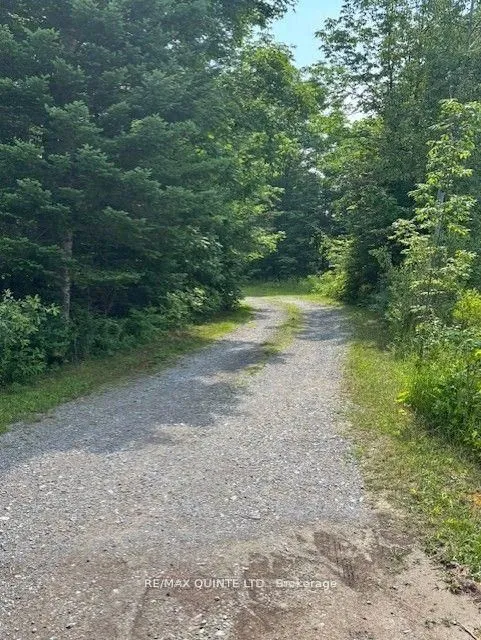 18610 Hwy 62 Highway, ON K0K 2K0