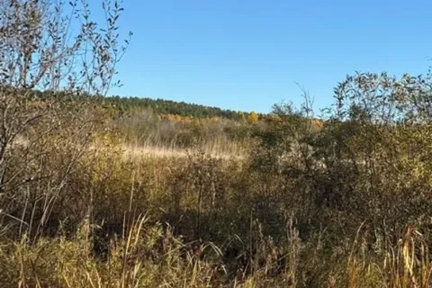 Pt 3&4 Levert Drive, ON P2B 2P3