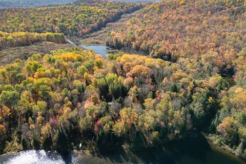 3517 Haliburton Lake Road, ON K0M 1S0