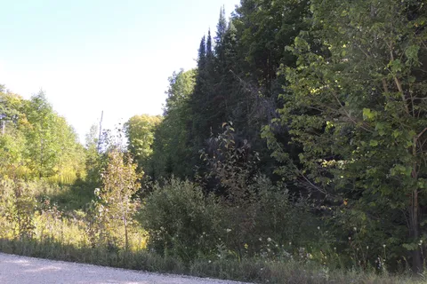 LT 35 HIGHLAND Drive, ON N0C 1H0