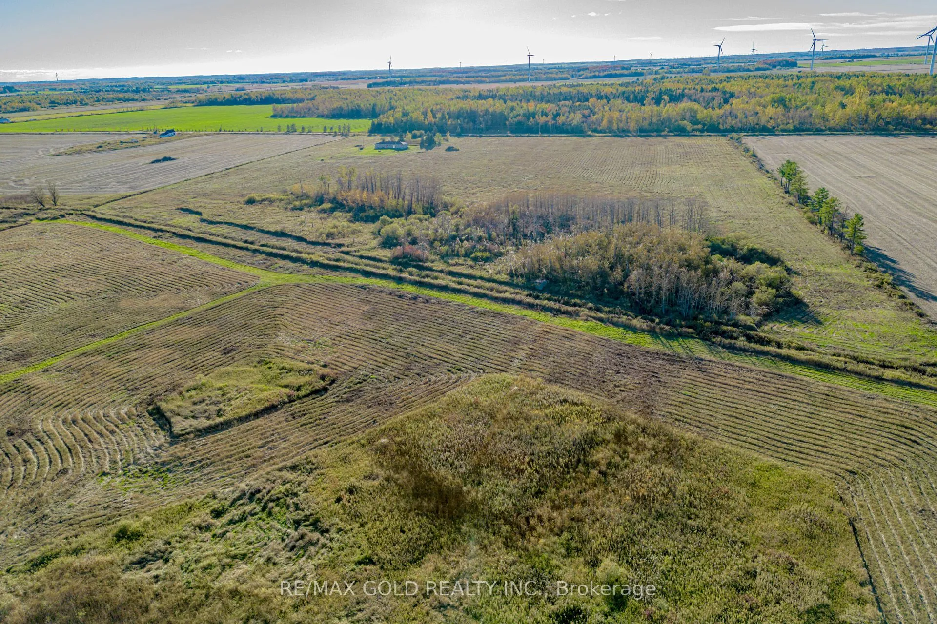 255505 9th Line, ON L0N 1S5