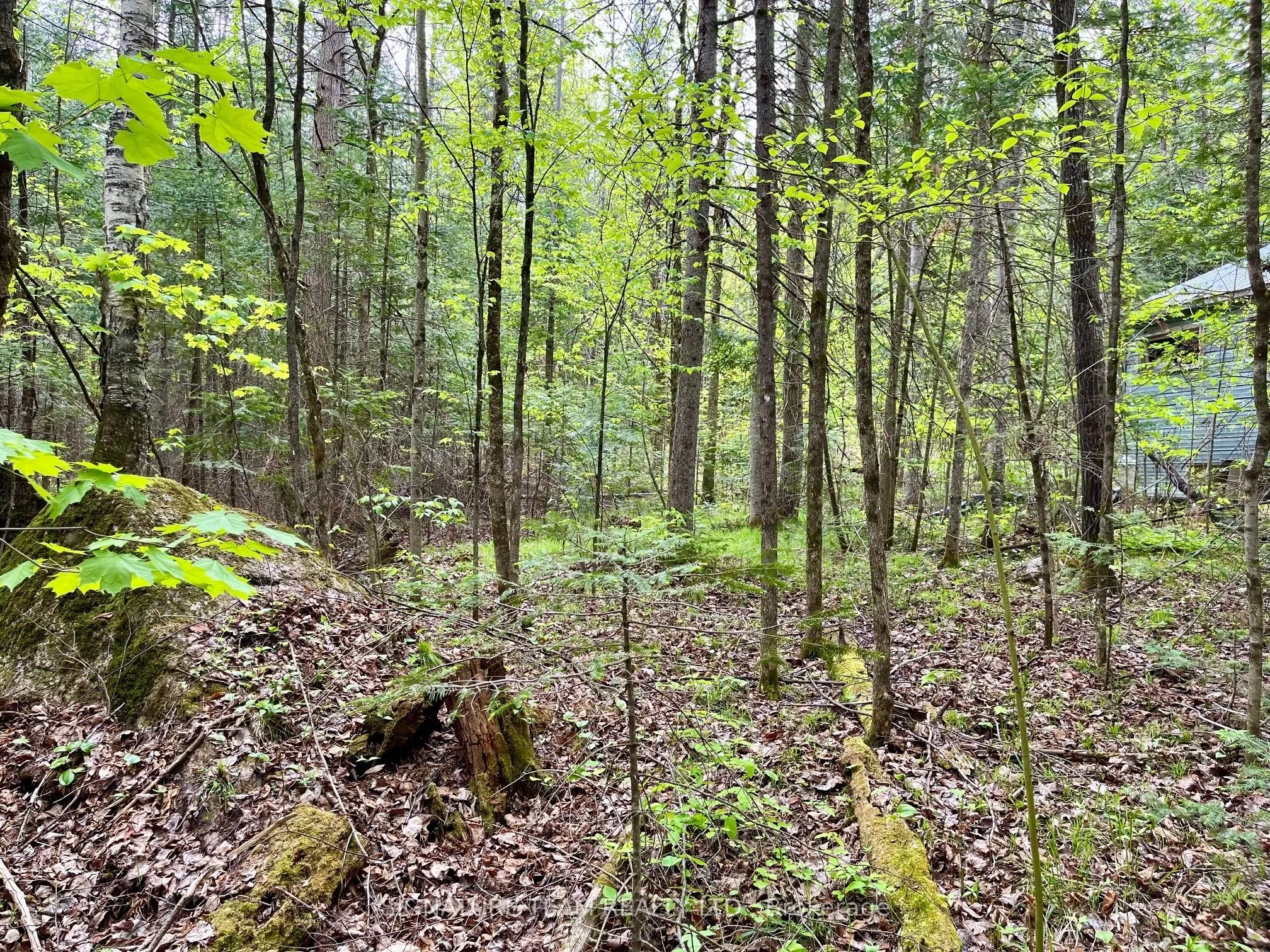 122 WESTERN Drive, ON K0J 1T0