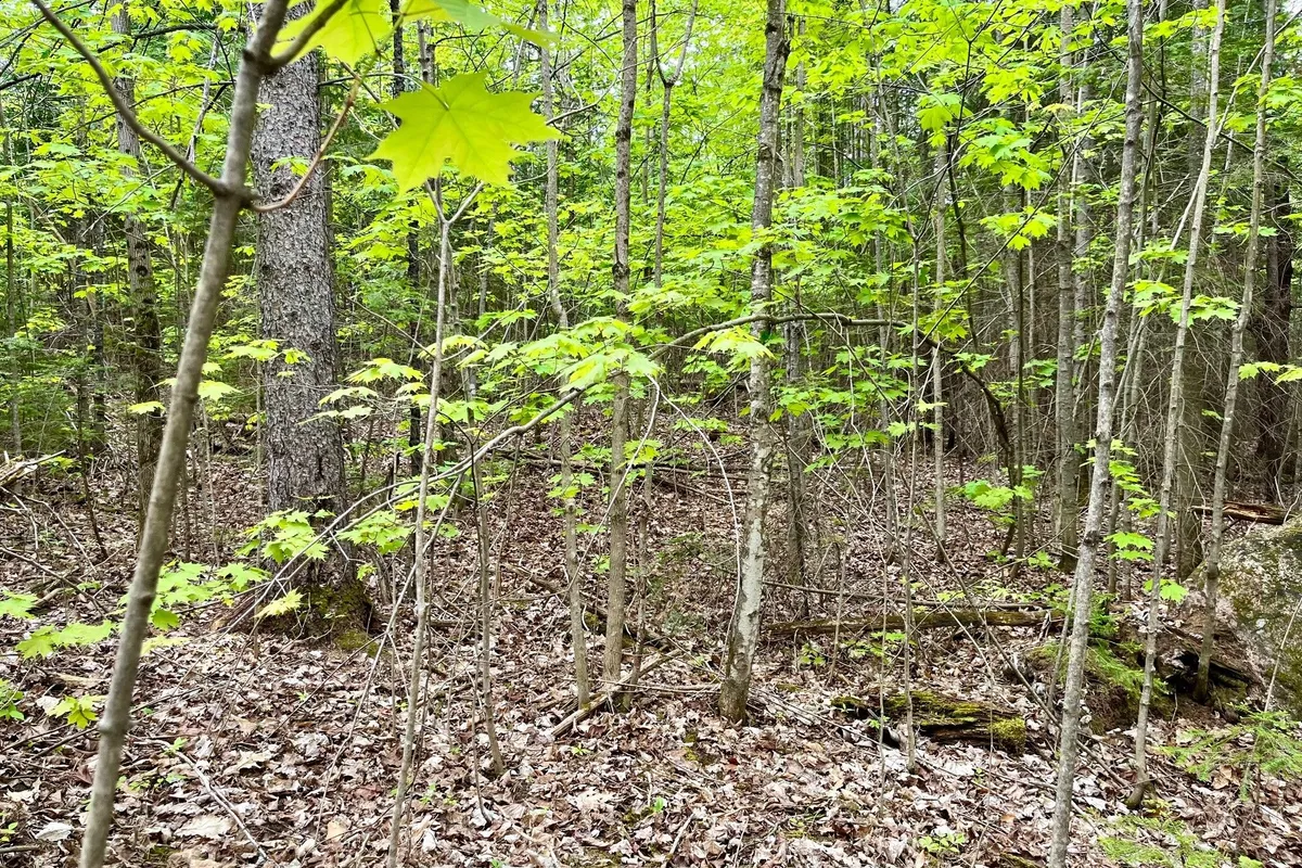 122 WESTERN Drive, ON K0J 1T0