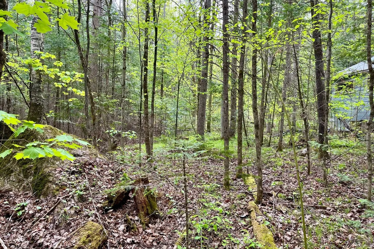 122 WESTERN Drive, ON K0J 1T0