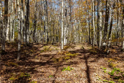 305 Barney's Boulevard, ON N0H 1Z0