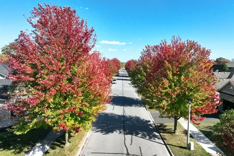 132 LORETTA Drive, ON L0S 1T0