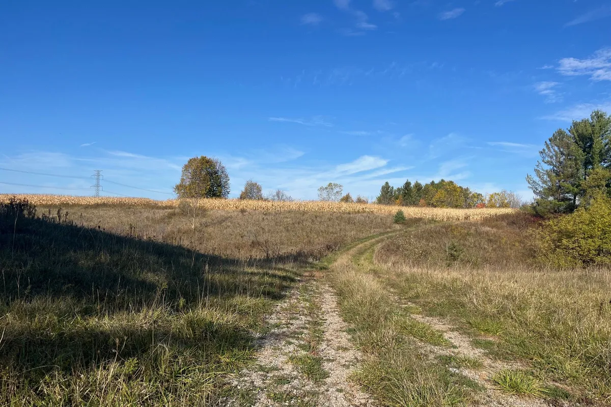 32896 Chalmers Line, ON N0L 1P0