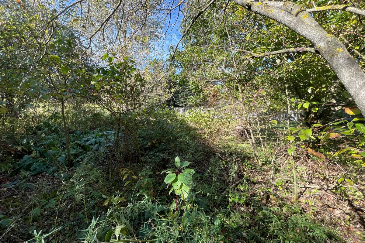 Plan 4A BLK 3 Lot 10 Mill Street, ON L9W 3Z3