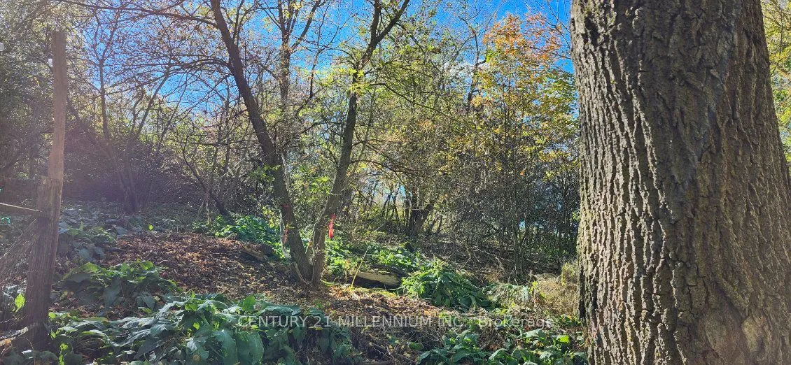 Plan 4A BLK 3 Lot 10 Mill Street, ON L9W 3Z3