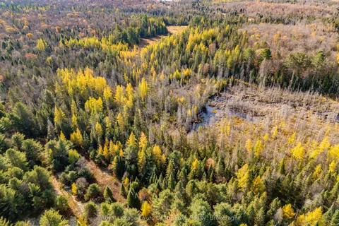 267 & 321 Cardwell Lake Road, ON P0B 1M0