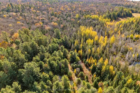 267 & 321 Cardwell Lake Road, ON P0B 1M0