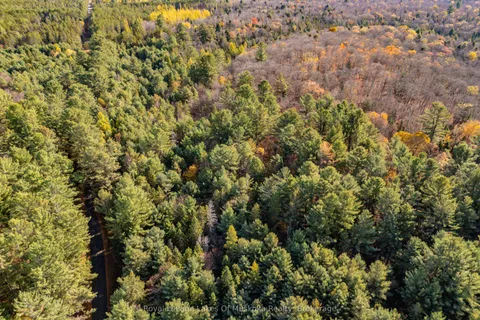 267 & 321 Cardwell Lake Road, ON P0B 1M0