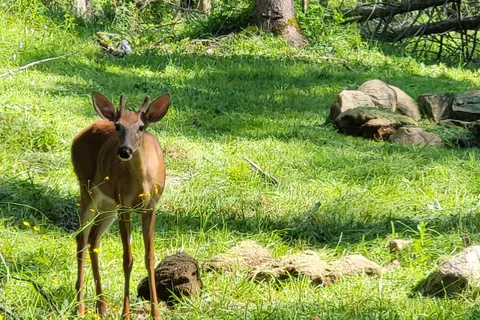 Lt16C10 County Rd 503 N/A, ON K0L 2Y0