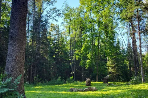 Lt16C10 County Rd 503 N/A, ON K0L 2Y0