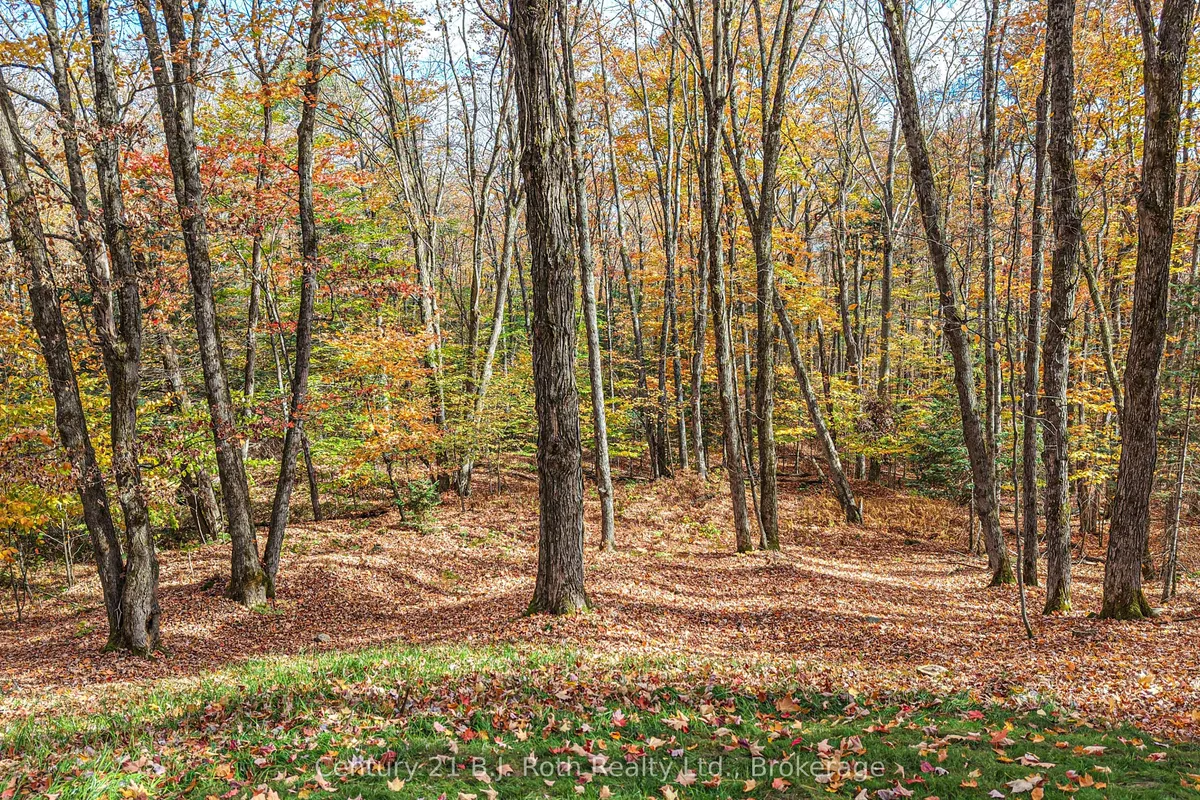 691 South Waseosa Lake Road, ON P1H 2N5