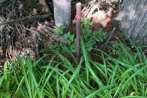 0 11th Line N/A, ON K0K 2M0