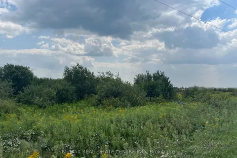 681044 260 Side Road, ON L9V 2M7