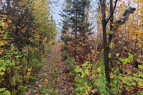 Chiswick Line Himsworth CON 10 PT LOT 5 Line, ON P0H 1Z0