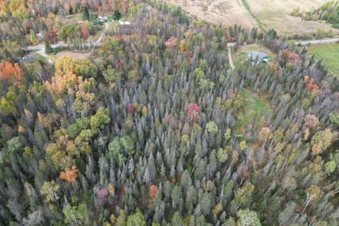 Chiswick Line Himsworth CON 10 PT LOT 5 Line, ON P0H 1Z0