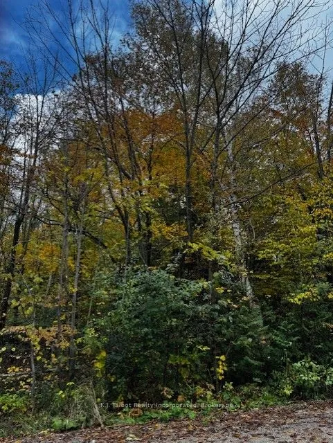 78178 Lavrangue Drive, ON N0M 1G0