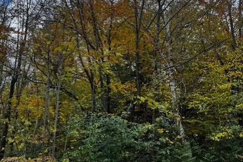 78178 Lavrangue Drive, ON N0M 1G0