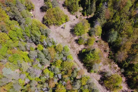 224 Madill Road, ON P0A 1C0