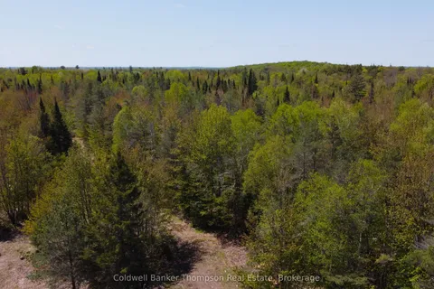 224 Madill Road, ON P0A 1C0